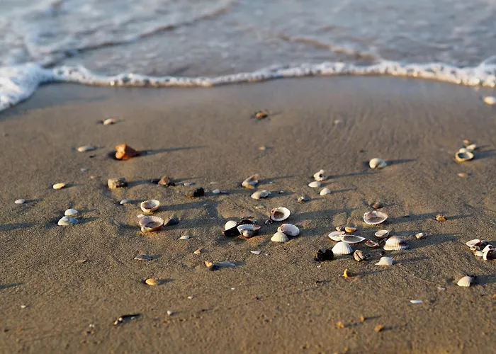 Apartman Stunning Flat With Terrace Overlooking The Sea